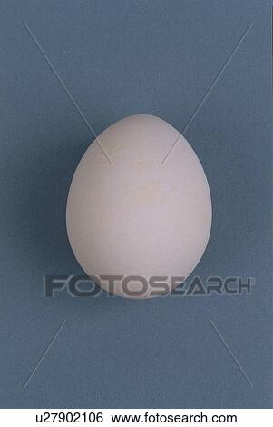 Stock Photograph - Egg. Fotosearch