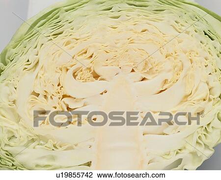 Stock Image - Half Of Cabbage. Fotosearch