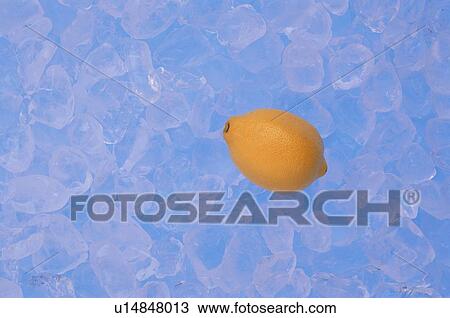 Lemon On Ice View Large Photo Image Stock Image - Lemon On Ice. Fotosearch