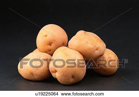 Picture - Potatoes. Fotosearch