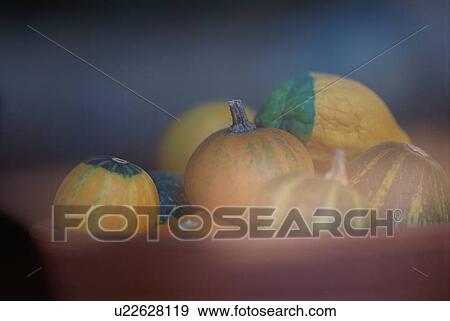 Stock Photo - Pumpkins In Flower Pot. Fotosearch