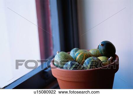 Pumpkins Near Window View Large Photo Image Stock Image - Pumpkins Near Window. Fotosearch