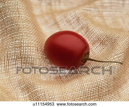 Stock Image - Red Berry. Fotosearch