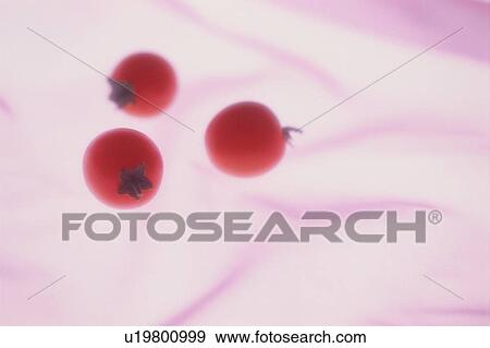 Stock Photo - Three Cherry Tomatoes. Fotosearch