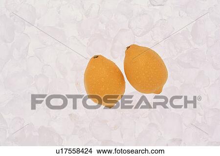 Two Lemons On Ice View Large Photo Image Picture - Two Lemons On Ice. Fotosearch