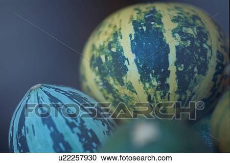 Watermelons View Large Photo Image Stock Image - Watermelons. Fotosearch