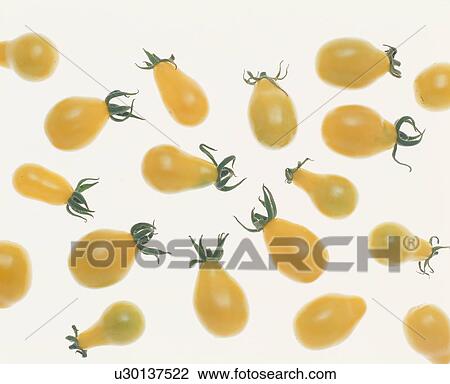 Stock Image - Yellow Tomatoes. Fotosearch