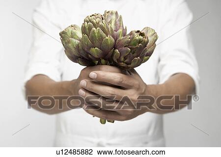 Chef holding artichokes (mid section) View Large Photo Image Stock Image - Chef holding artichokes (mid section). Fotosearch