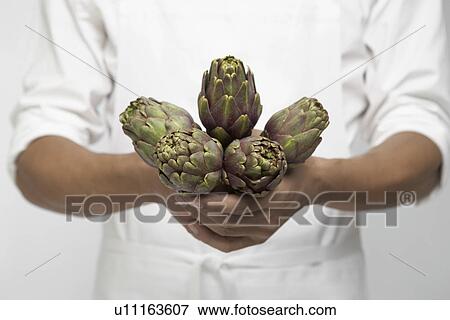Stock Photo - Chef holding artichokes (mid section). Fotosearch