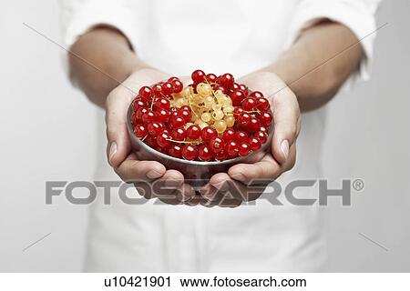 Chef holding bowl of red and white currants (mid section) View Large Photo Image Stock Image - Chef holding bowl of red and white currants (mid section). Fotosearch