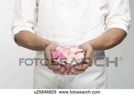 Chef holding bowl of rose petal (mid section) View Large Photo Image Stock Photo - Chef holding bowl of rose petal (mid section). Fotosearch