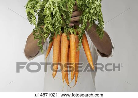 Chef holding bunch of fresh carrots View Large Photo Image Stock Image - Chef holding bunch of fresh carrots. Fotosearch