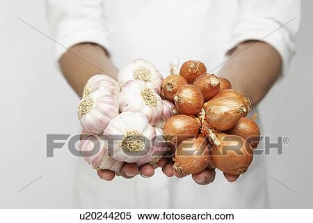Stock Photography - Chef holding bunch of garlic and shallot onions (mid section). Fotosearch