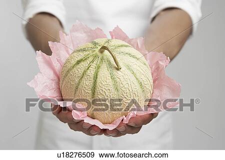 Stock Photo - Chef holding cantaloupe melon (mid section). Fotosearch