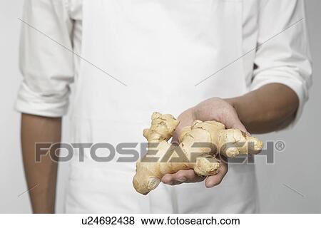 Stock Photo - Chef holding fresh ginger (mid section). Fotosearch