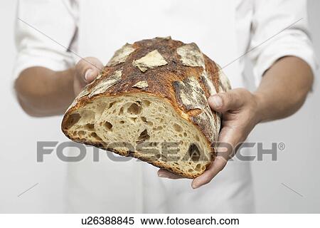 Chef holding loaf of bread (mid section) View Large Photo Image Stock Photography - Chef holding loaf of bread (mid section). Fotosearch