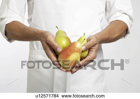 Chef holding pears (mid section) View Large Photo Image Picture - Chef holding pears (mid section). Fotosearch