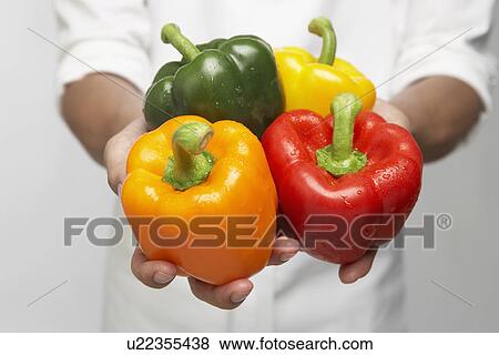 Stock Photo - Chef holding selection of bell peppers (mid section). Fotosearch