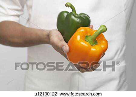 Chef holding two bell peppers (mid section) View Large Photo Image Stock Image - Chef holding two bell peppers (mid section). Fotosearch