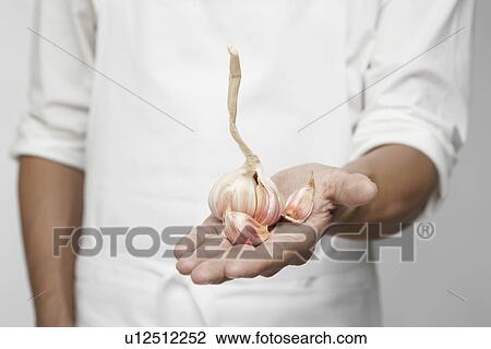 Stock Image - Garlic onion on chef's hand (focus on hand). Fotosearch
