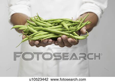 Stock Image - Green beans on chef's hand (mid section). Fotosearch