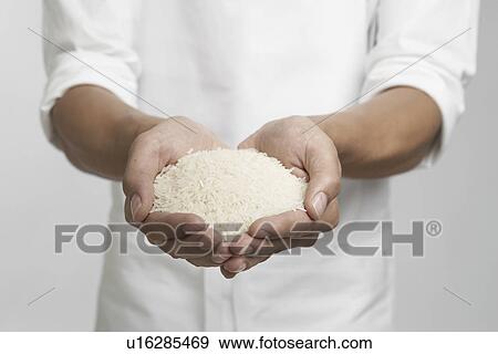 White rice on chef's hands (mid section) View Large Photo Image Stock Photo - White rice on chef's hands (mid section). Fotosearch