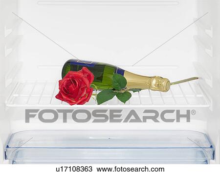 Stock Image - Champagne and rose in fridge (close-up). Fotosearch
