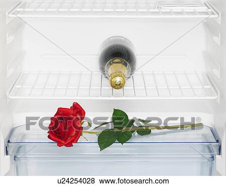 Stock Photo - Champagne and rose in fridge (close-up). Fotosearch
