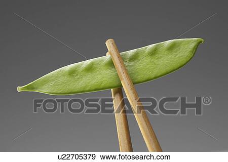 Stock Photo - Chopsticks holding snow pea (close-up). Fotosearch
