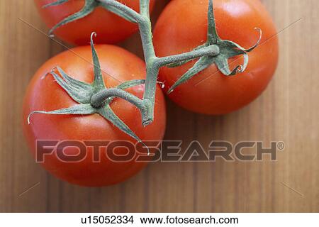 Picture - Close-up of tomatoes on vine. Fotosearch