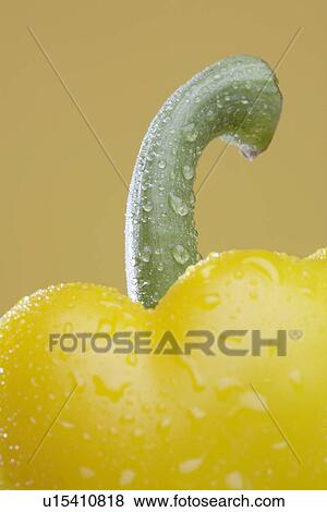Close-up of yellow bell pepper with droplets View Large Photo Image Stock Photo - Close-up of yellow bell pepper with droplets. Fotosearch