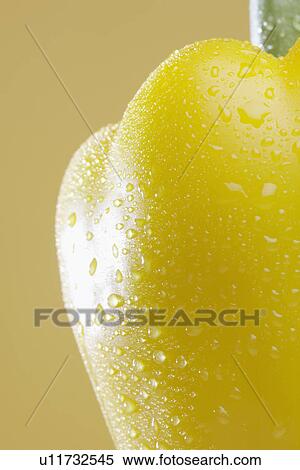 Close-up of yellow bell pepper with droplets View Large Photo Image Stock Photography - Close-up of yellow bell pepper with droplets. Fotosearch