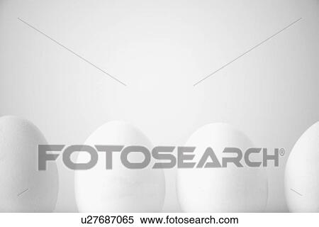 Row of white eggs View Large Photo Image Stock Photography - Row of white eggs. Fotosearch