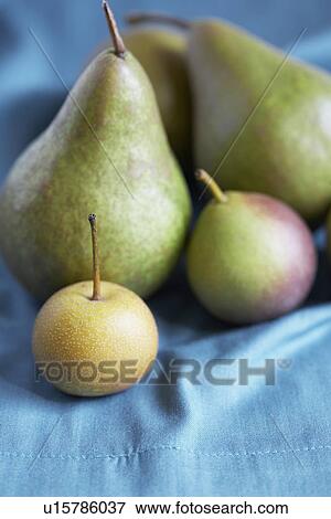Stock Photo - Selection of pears and apples. Fotosearch