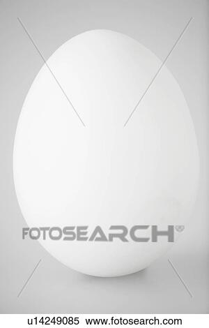 Single white egg (close-up) View Large Photo Image Stock Photography - Single white egg (close-up). Fotosearch