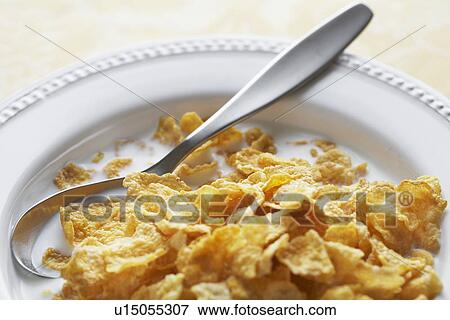 Bowl of cornflakes with milk View Large Photo Image Stock Photo - Bowl of cornflakes with milk. Fotosearch