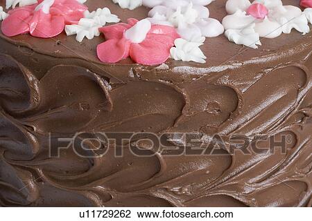 Chocolate cake (close-up) View Large Photo Image Stock Image - Chocolate cake (close-up). Fotosearch