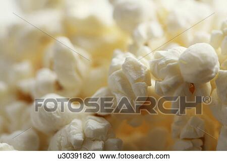 Close-up of popcorn View Large Photo Image Stock Image - Close-up of popcorn. Fotosearch