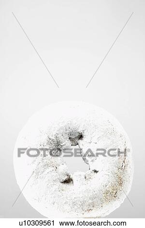 Donut with icing sugar View Large Photo Image Stock Image - Donut with icing sugar. Fotosearch