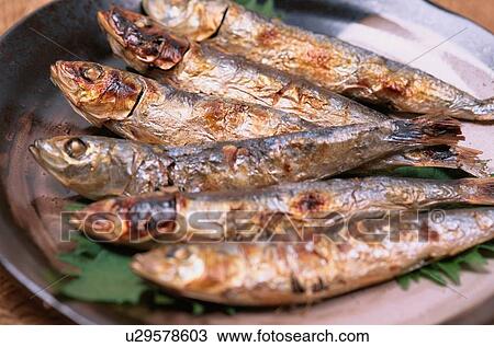 Baked Sardines On Plate View Large Photo Image Stock Image - Baked Sardines On Plate. Fotosearch