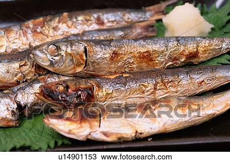 Stock Image - Baked Sardines. Fotosearch