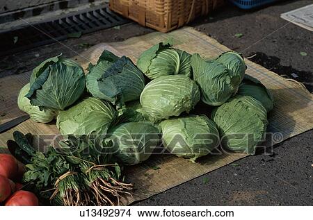 Cabbages View Large Photo Image Picture - Cabbages. Fotosearch