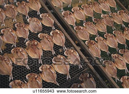 Stock Image - Dried Horse Mackerel. Fotosearch