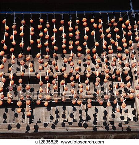Stock Photograph - Dried Persimmons. Fotosearch