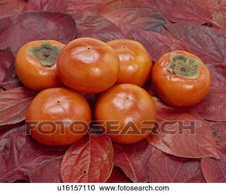 Stock Image - Persimmons On Autumn Leaves. Fotosearch