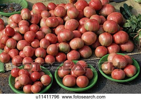 Stock Photograph - Tomatoes. Fotosearch