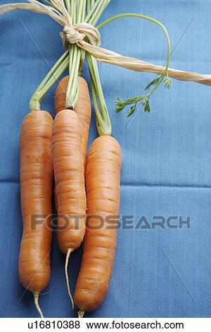 Stock Photo - Bunch of carrots. Fotosearch