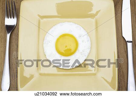 Fried egg on plate (directly above) View Large Photo Image Stock Image - Fried egg on plate (directly above). Fotosearch