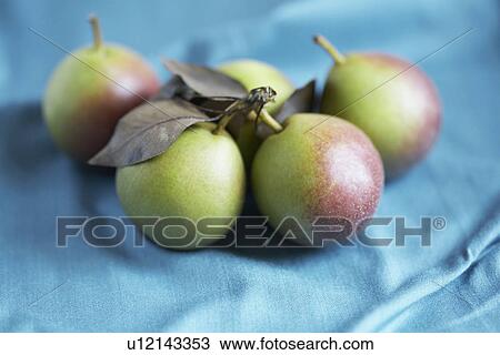 Small pears View Large Photo Image Stock Image - Small pears. Fotosearch