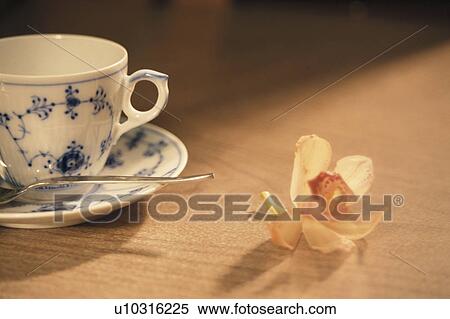 A Coffee Cup And A Flower View Large Photo Image Stock Photography - A Coffee Cup And A Flower. Fotosearch